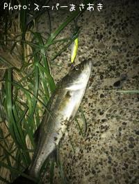 �����Х�