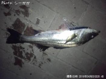 �����Х�