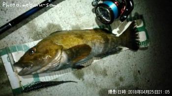 �����ʥ�