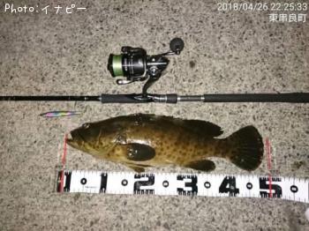 ¥Á¥ã¥¤¥í¥Þ¥ë¥Ï¥¿