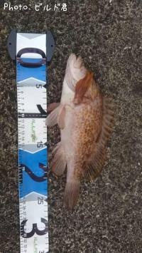 �����ϥ�