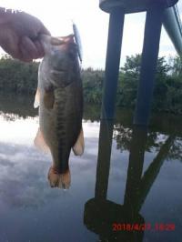 �֥�å��Х�