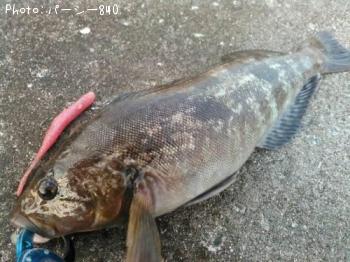 �����ʥ�