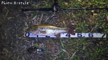 �֥�å��Х�