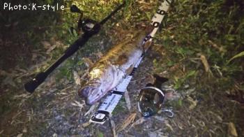 �֥�å��Х�