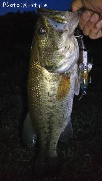 �֥�å��Х�