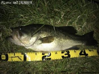 ¥Ö¥é¥Ã¥¯¥Ð¥¹