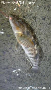 �����ʥ�