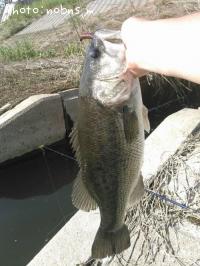 ¥Ö¥é¥Ã¥¯¥Ð¥¹