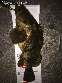 �٥å�������