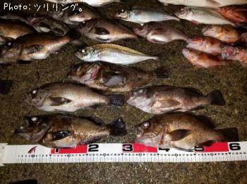 ¼Ü»°¼ïÌÜãÀ®¡ª¡ª