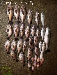 ¼Ü»°¼ïÌÜãÀ®¡ª¡ª