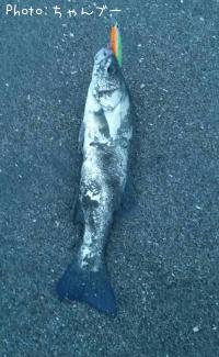 �����Х�