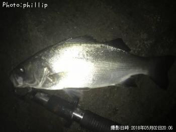 �ҥ饻����