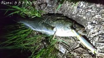 �����Х�