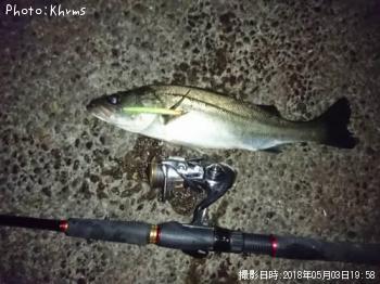 �����Х�