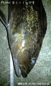 �����ʥ�