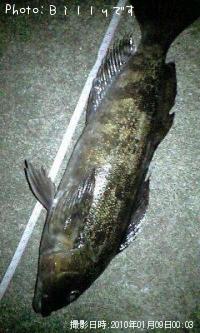 �����ʥ�