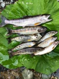 ¥ä¥Þ¥á¡¡¥¤¥ï¥Ê