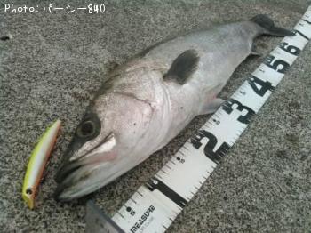 �����Х�