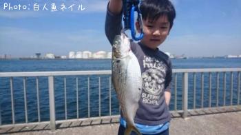 ¥³¥Î¥·¥í¡Ê¤³¤Ï¤À¡Ë