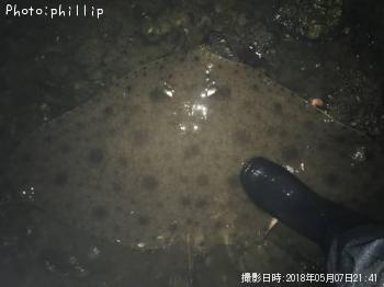 �ĥХ�������