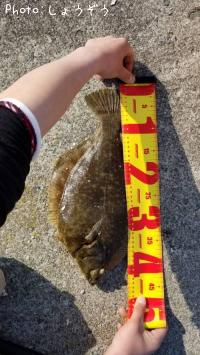 ¥Þ¥³¥¬¥ì¥¤