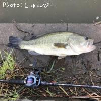 ¥Ö¥é¥Ã¥¯¥Ð¥¹