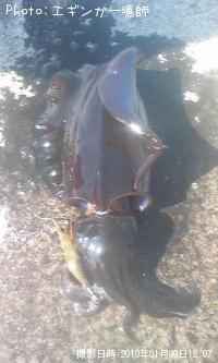 �����ꥤ��