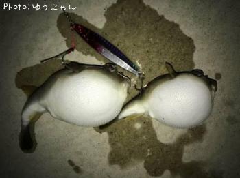 �ե��ߣ�