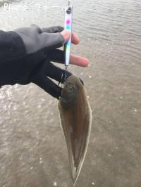 ¥·¥¿¥Ó¥é¥á