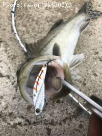 �����Х�