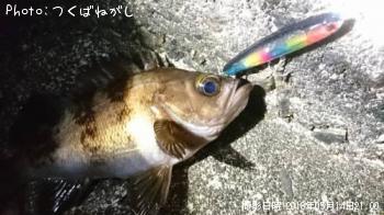 ÌÜÄ¥