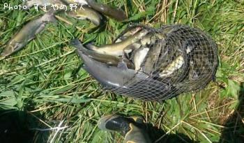 ����åȥե��å���