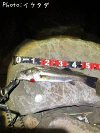 �����Х�