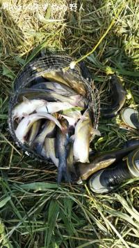 ����åȥե��å���