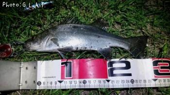 �����Х�