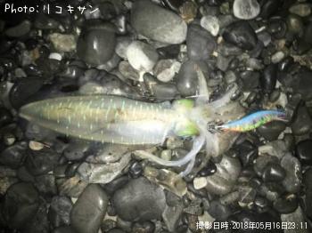 �����ꥤ��