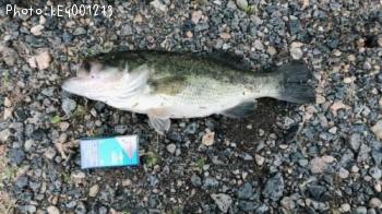 �顼���ޥ����Х�