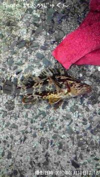 ¥¿¥±¥Î¥³¥á¥Ð¥ë