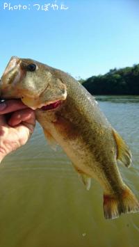 ¥Ö¥é¥Ã¥¯¥Ð¥¹