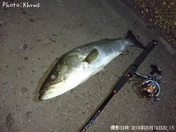 �����Х�