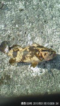 �٥å�������