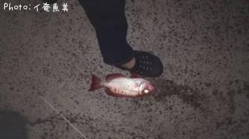 �ۥ���������ȥ�