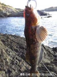 �����ʥ�