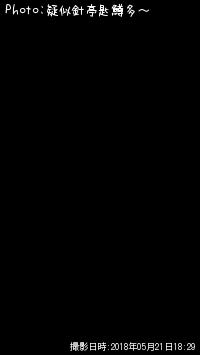 ¸ñ¡ª¡©