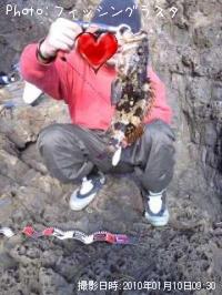 ¥Ù¥Ã¥³¥¦¥¾¥¤