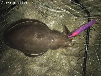 ��󥴥�����