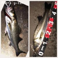 �����Х�