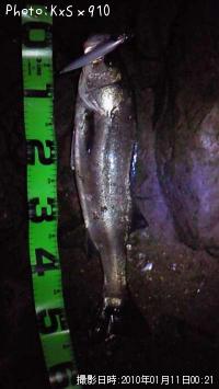 �����Х�